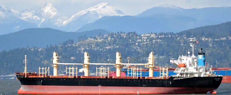 NADEEN Bulk Carrier IMO 9324710 photo 10