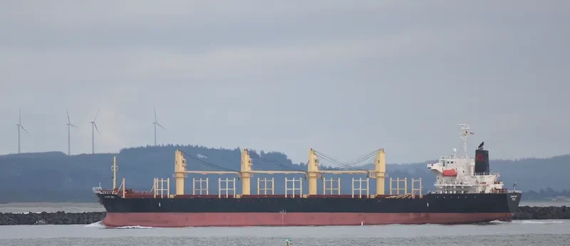 DANNY BOY Bulk Carrier IMO 9324722 photo 5