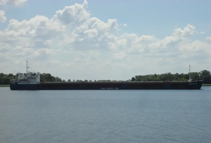 PALMALI VOYAGER General Cargo IMO 9324801 photo 5