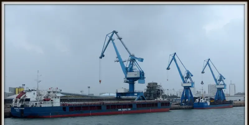 PALMALI VOYAGER General Cargo IMO 9324801 photo 6