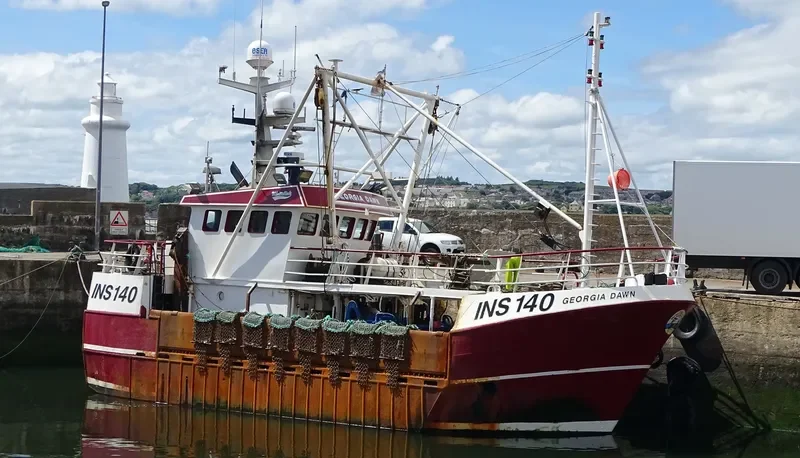 GEORGIA DAWN General Cargo IMO 9324904 photo 3