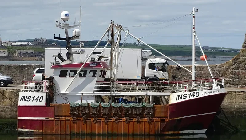 GEORGIA DAWN General Cargo IMO 9324904 photo 4