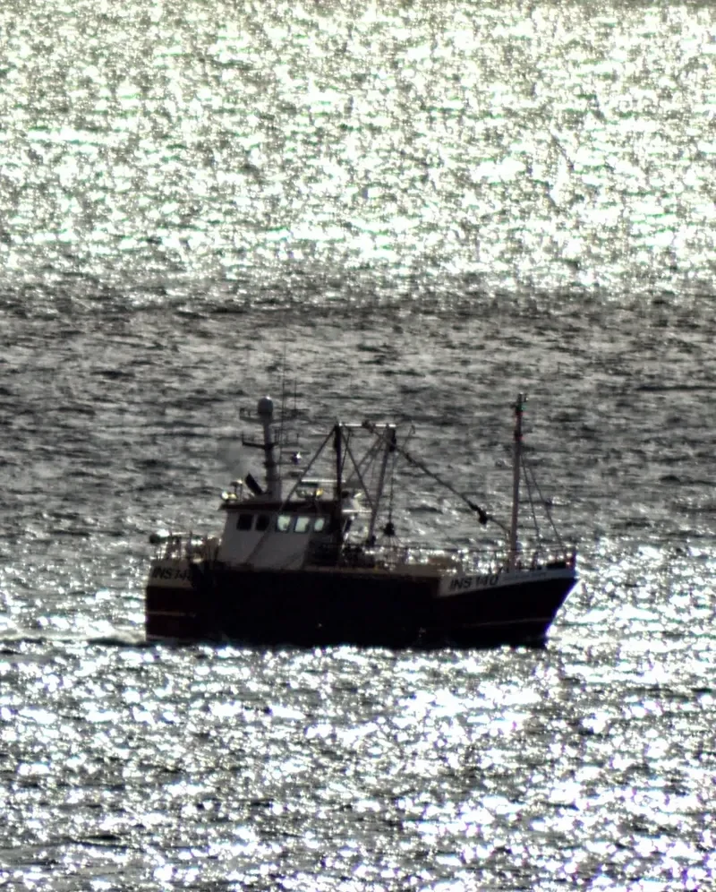 GEORGIA DAWN General Cargo IMO 9324904 photo 6