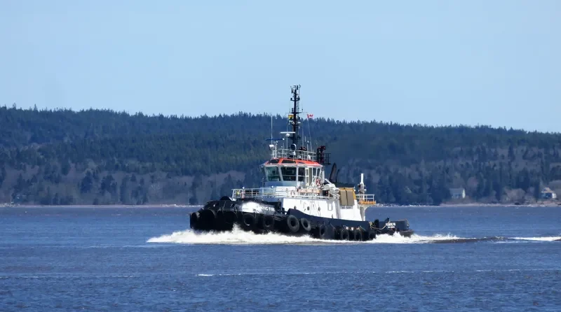 ATLANTIC FIR General Cargo IMO 9324916 photo 4