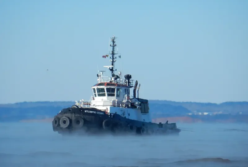 ATLANTIC CEDAR General Cargo IMO 9324928 photo 2