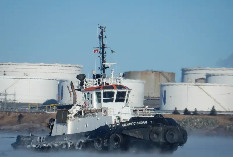 ATLANTIC CEDAR General Cargo IMO 9324928 photo 3