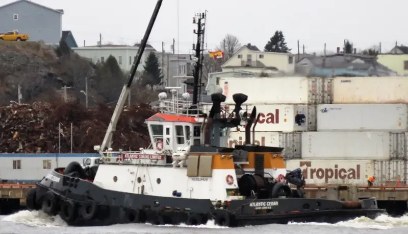 ATLANTIC CEDAR General Cargo IMO 9324928 photo 4