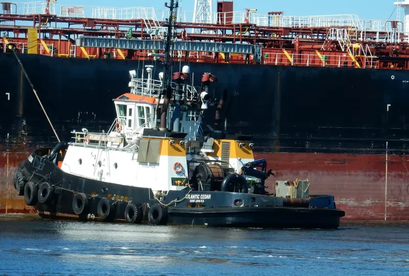 ATLANTIC CEDAR General Cargo IMO 9324928 photo 5