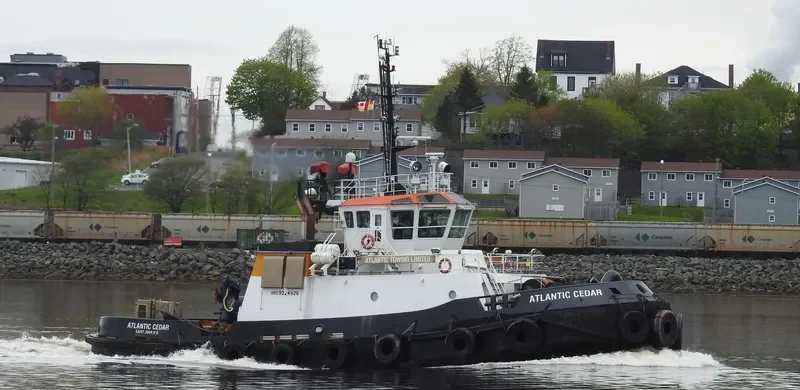 ATLANTIC CEDAR General Cargo IMO 9324928 photo 6