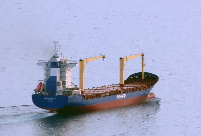 FESCO ASKOLD Container Ship IMO 9324942 photo 3
