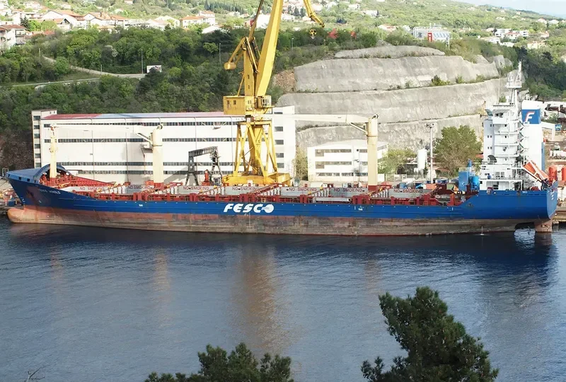FESCO ASKOLD Container Ship IMO 9324942 photo 9