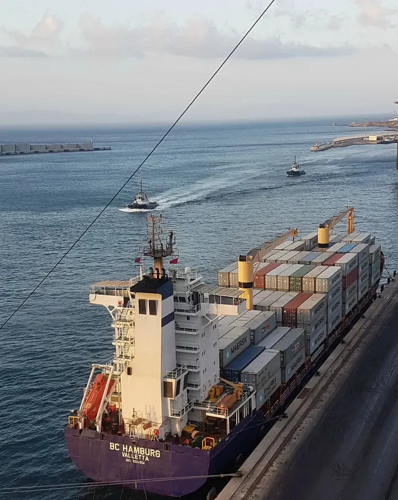 WILHELMINE Container Ship IMO 9324954