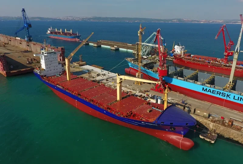 WILHELMINE Container Ship IMO 9324954 photo 2