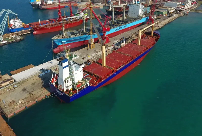 WILHELMINE Container Ship IMO 9324954 photo 3