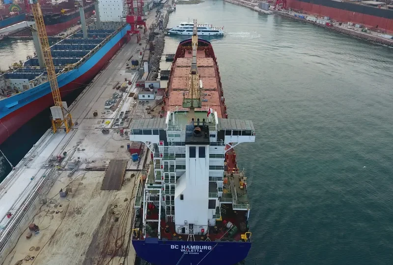 WILHELMINE Container Ship IMO 9324954 photo 5