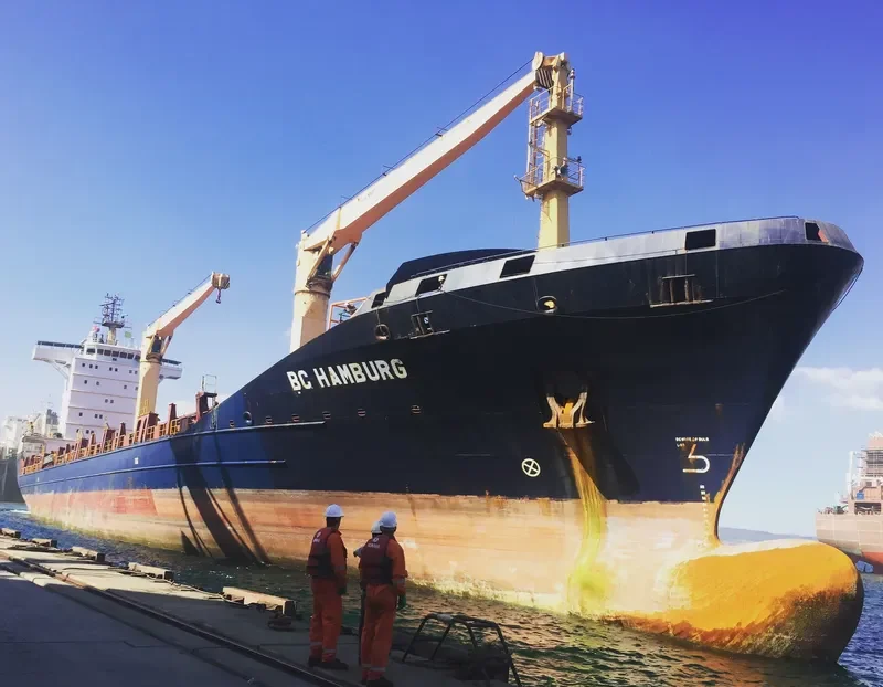WILHELMINE Container Ship IMO 9324954 photo 7