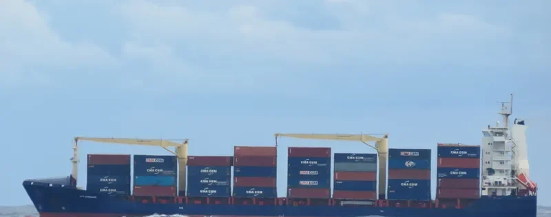 WILHELMINE Container Ship IMO 9324954 photo 10