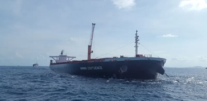 WINNING CONFIDENCE Bulk Carrier IMO 9325001