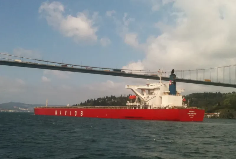 NAVIOS FANTASTIKS Bulk Carrier IMO 9325013 photo 3