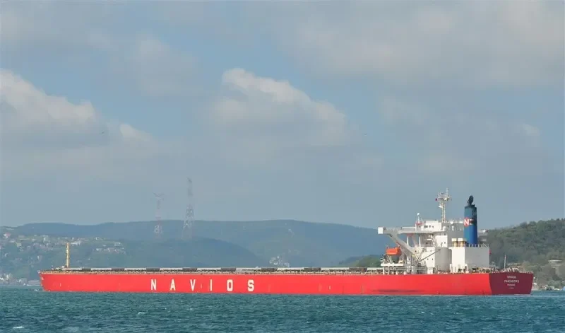 NAVIOS FANTASTIKS Bulk Carrier IMO 9325013 photo 4