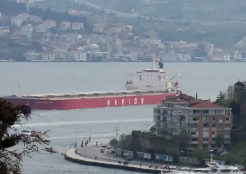 NAVIOS FANTASTIKS Bulk Carrier IMO 9325013 photo 5