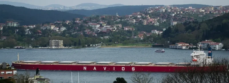 NAVIOS FANTASTIKS Bulk Carrier IMO 9325013 photo 6