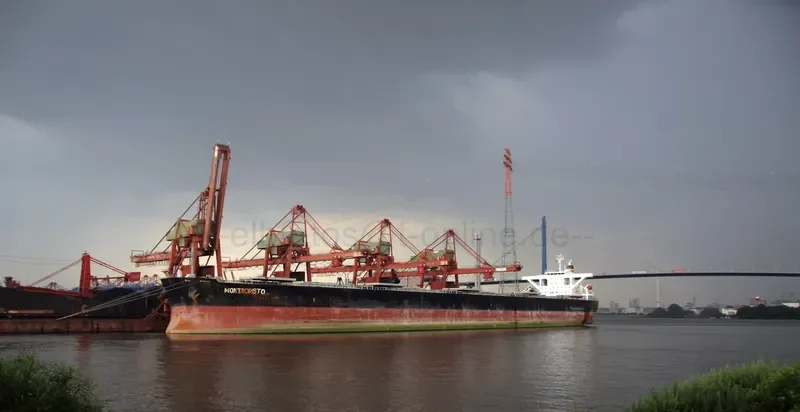 MONTECRISTO Bulk Carrier IMO 9325025