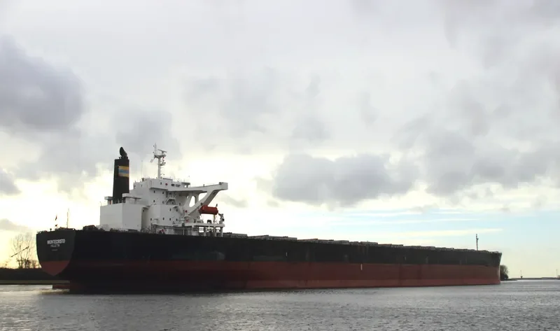 MONTECRISTO Bulk Carrier IMO 9325025 photo 3