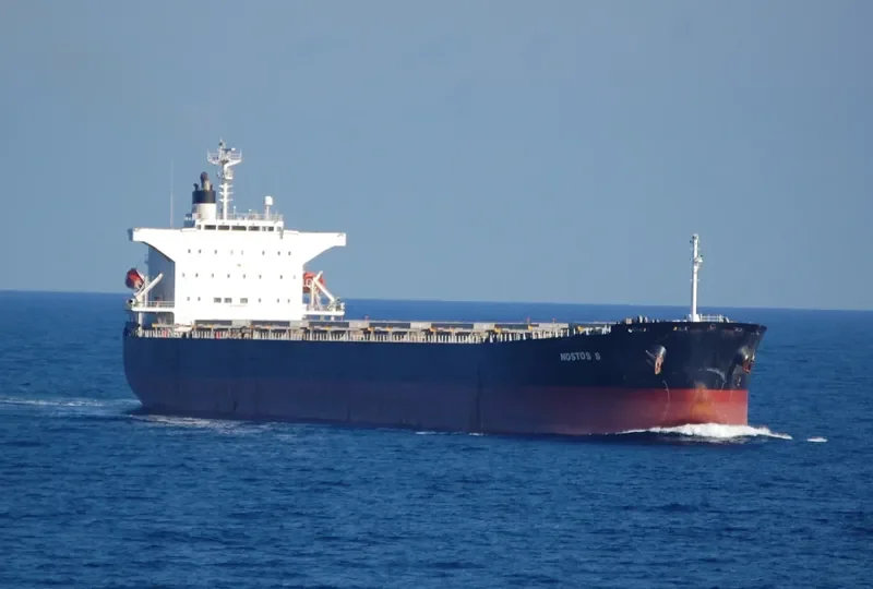 PANAMAX NOSTOS Bulk Carrier IMO 9325051 photo 5