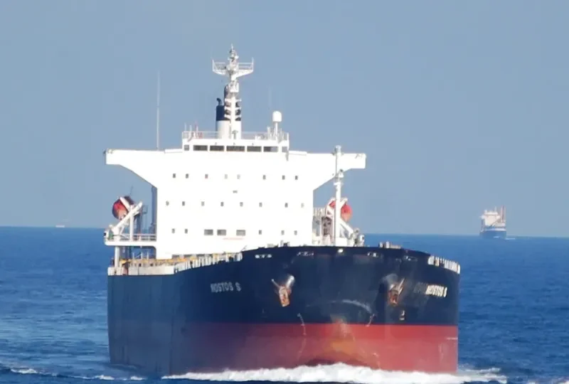 PANAMAX NOSTOS Bulk Carrier IMO 9325051 photo 6
