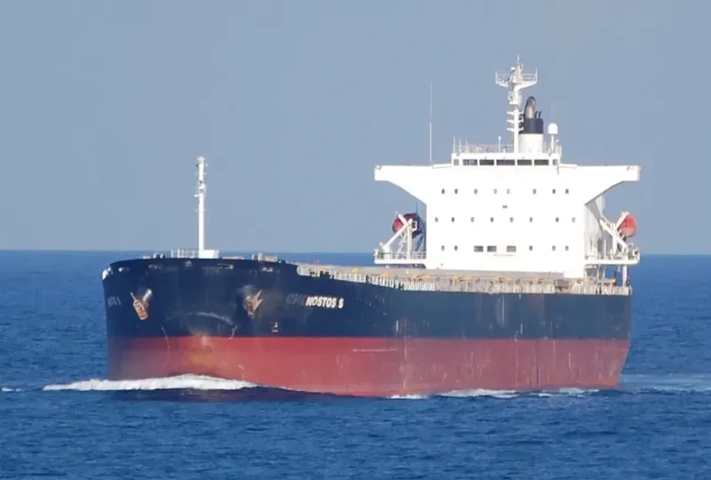 PANAMAX NOSTOS Bulk Carrier IMO 9325051 photo 7