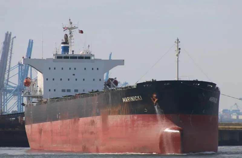 MARINICKI Bulk Carrier IMO 9325063 photo 2