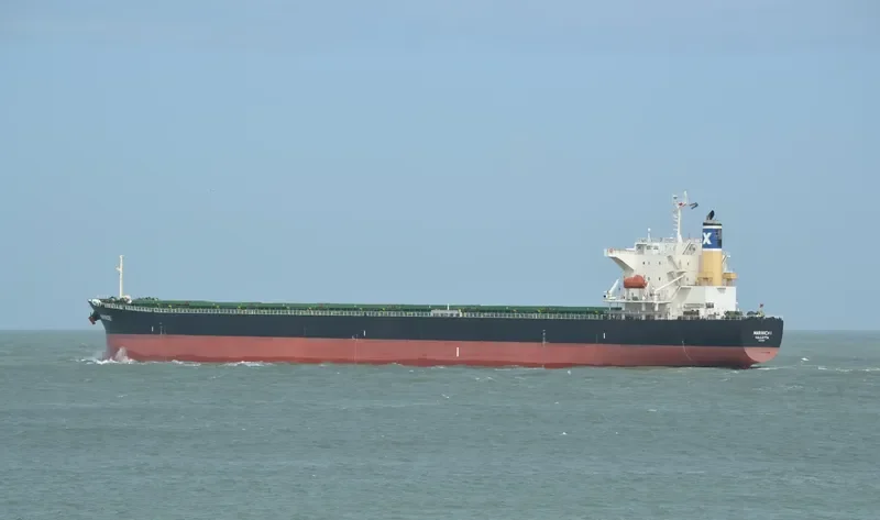 MARINICKI Bulk Carrier IMO 9325063 photo 3