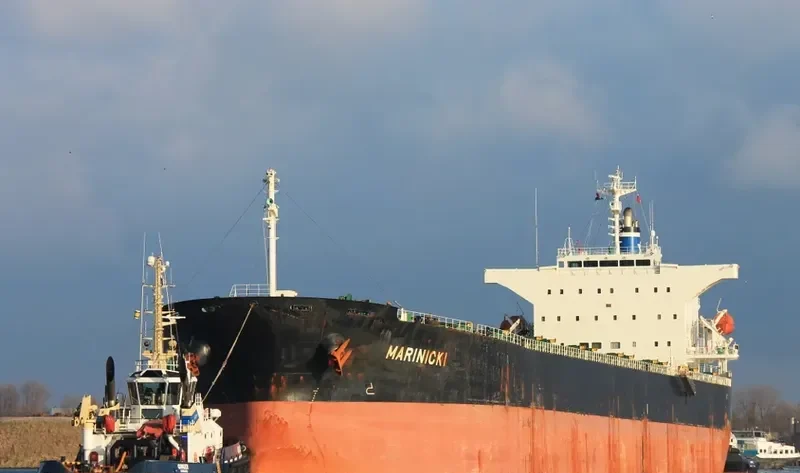 MARINICKI Bulk Carrier IMO 9325063 photo 7