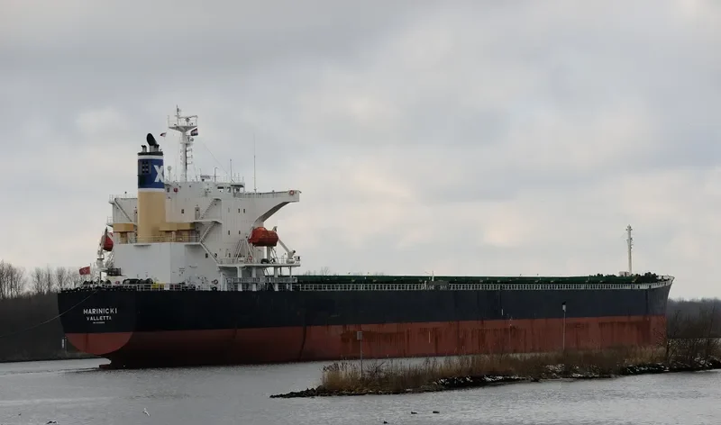MARINICKI Bulk Carrier IMO 9325063 photo 9