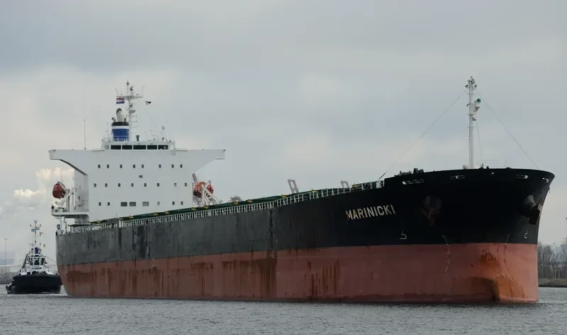 MARINICKI Bulk Carrier IMO 9325063 photo 10