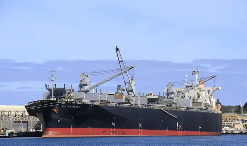 WHITE KINGDOM Bulk Carrier IMO 9325075 photo 2