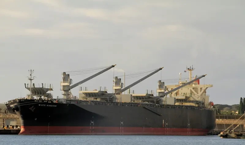 WHITE KINGDOM Bulk Carrier IMO 9325075 photo 3