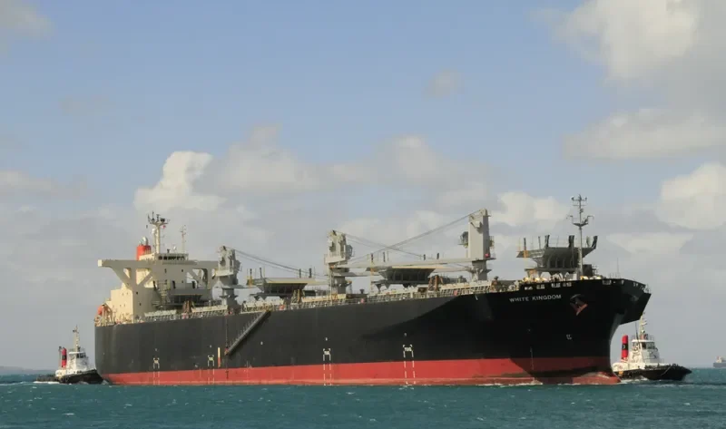 WHITE KINGDOM Bulk Carrier IMO 9325075 photo 4