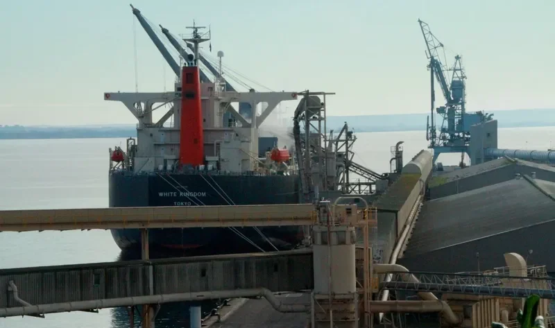 WHITE KINGDOM Bulk Carrier IMO 9325075 photo 6