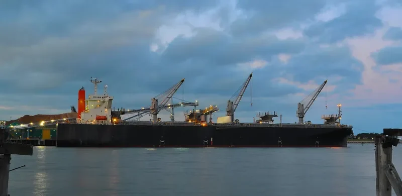 WHITE KINGDOM Bulk Carrier IMO 9325075 photo 7