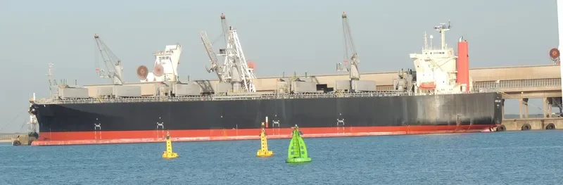 AURORA LIGHT Bulk Carrier IMO 9325087 photo 6