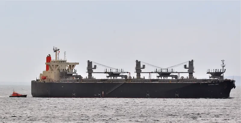 AURORA LIGHT Bulk Carrier IMO 9325087 photo 7