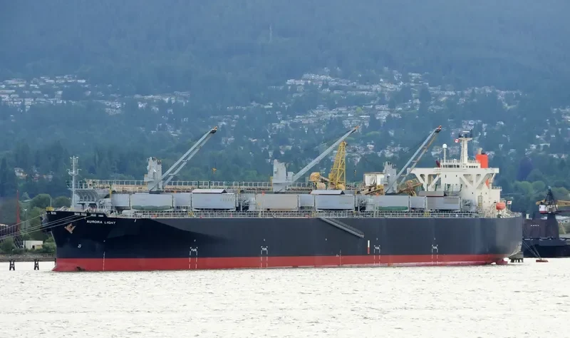 AURORA LIGHT Bulk Carrier IMO 9325087 photo 10