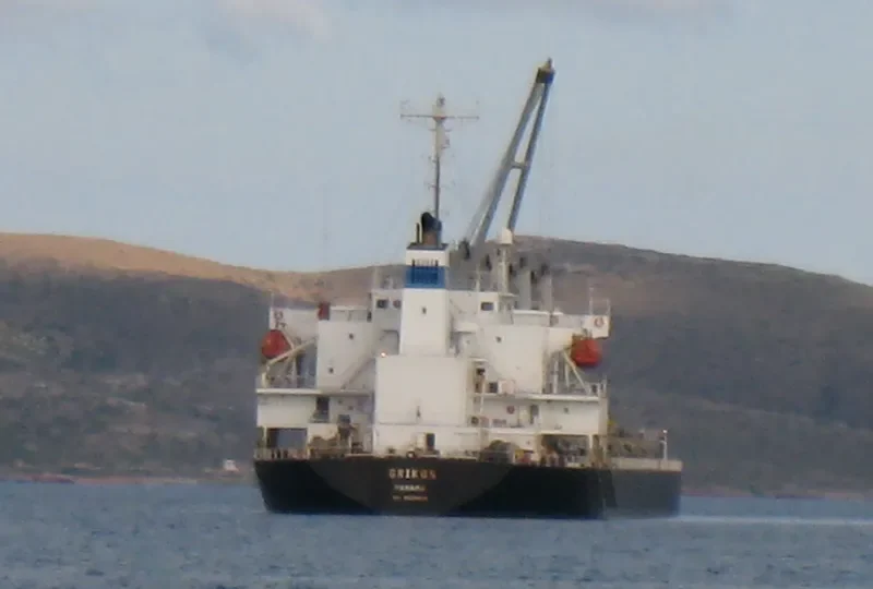 GRIKOS Bulk Carrier IMO 9325099
