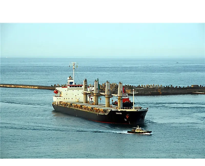 GRIKOS Bulk Carrier IMO 9325099 photo 5