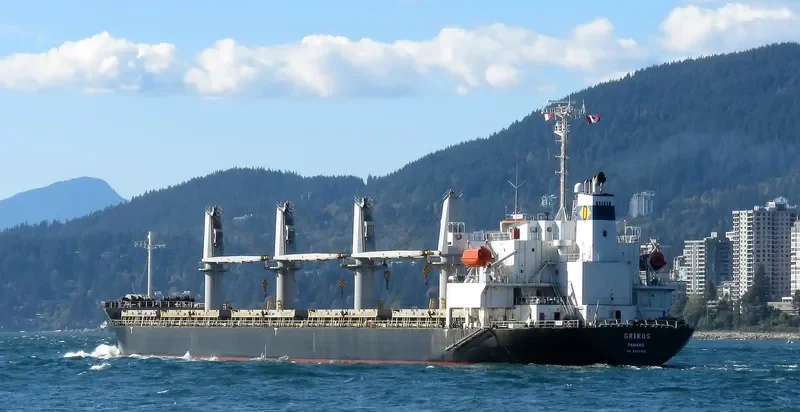 GRIKOS Bulk Carrier IMO 9325099 photo 7