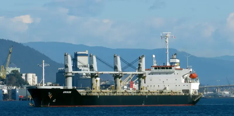GRIKOS Bulk Carrier IMO 9325099 photo 8