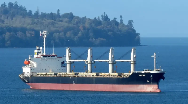 GRIKOS Bulk Carrier IMO 9325099 photo 9