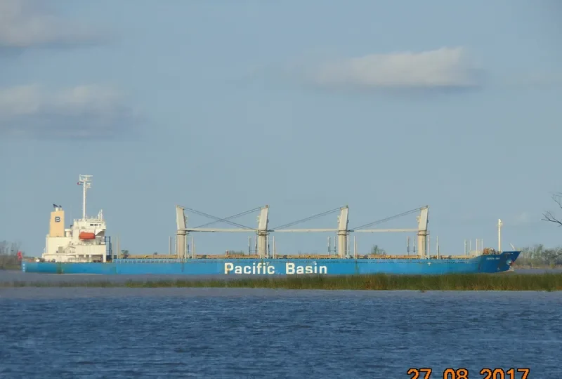 TAMPA BAY Bulk Carrier IMO 9325104 photo 4